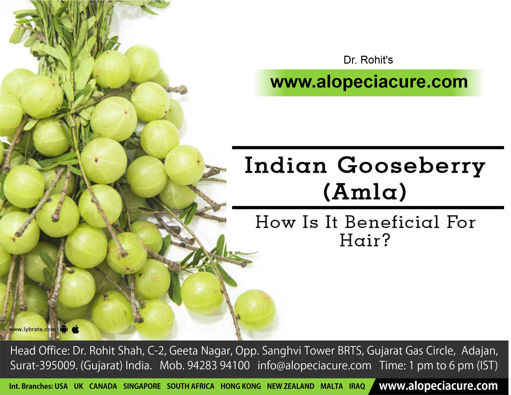 Indian Gooseberry (Amla) - How Is It Beneficial For Hair?