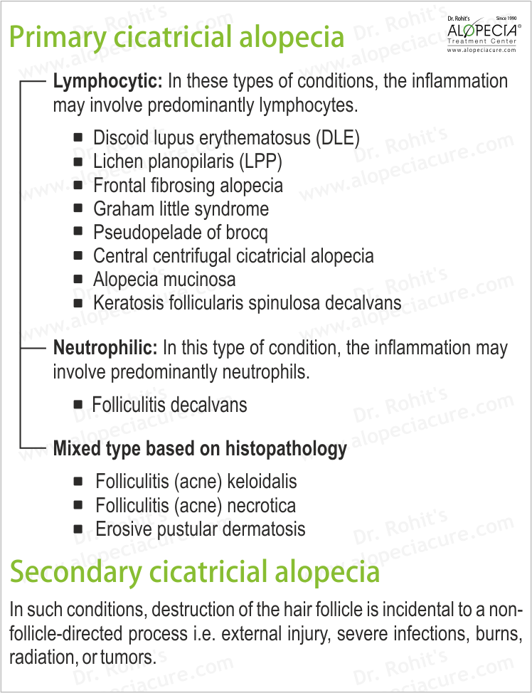 Scarring Alopecia Histology